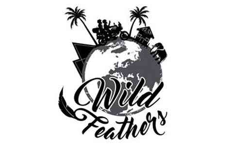 wildfeathers-blog-pros-and-cons-of-blogging